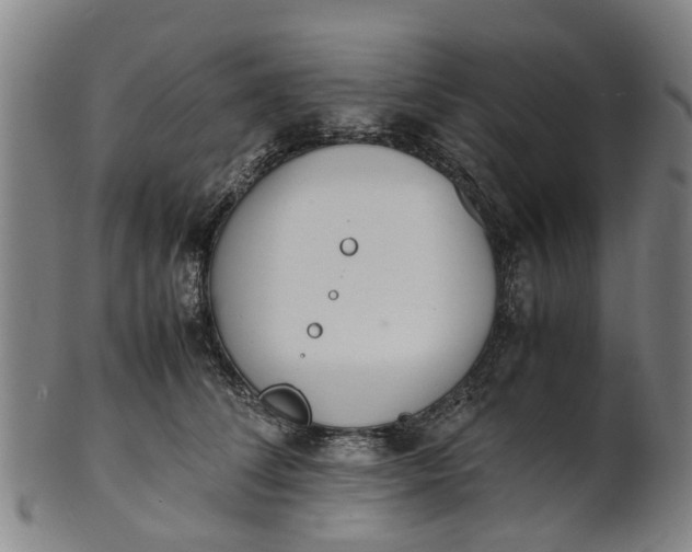 X0000101660708200807241417