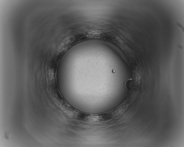 X0000101660711200807241417