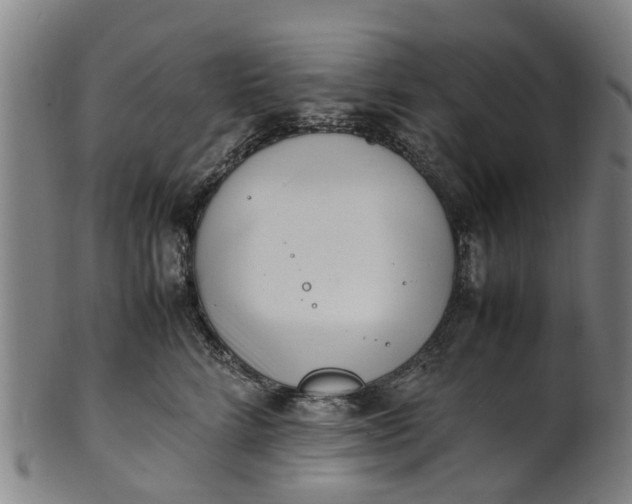 X0000101660712200807241417