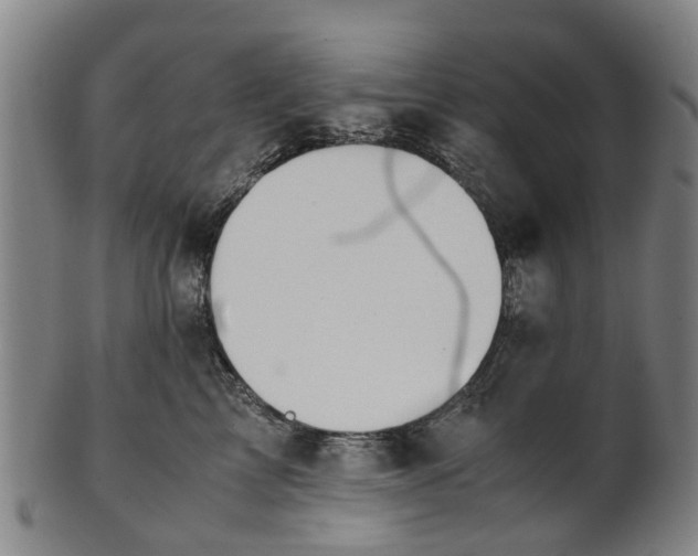 X0000101660713200807241417