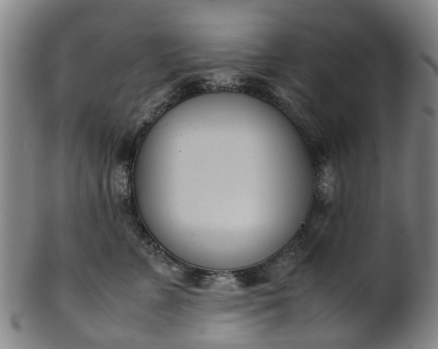 X0000101660715200807241417