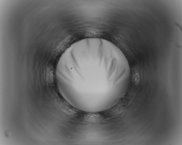 X0000101660716200807241417