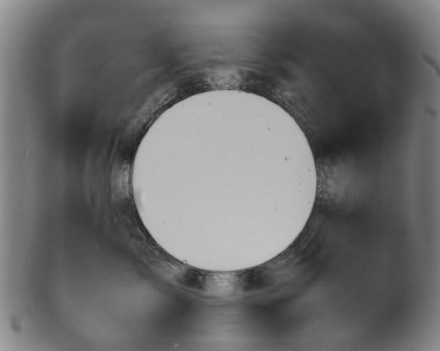 X0000101660717200807241417