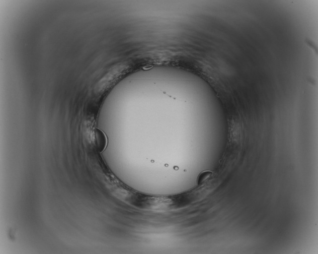 X0000101660719200807241417