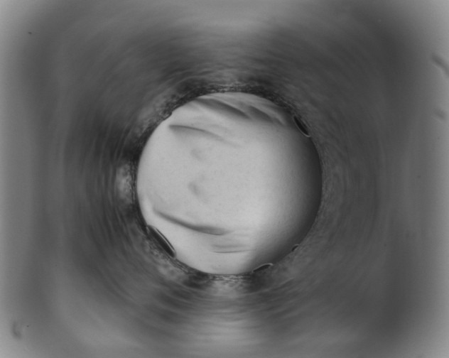 X0000101660720200807241417