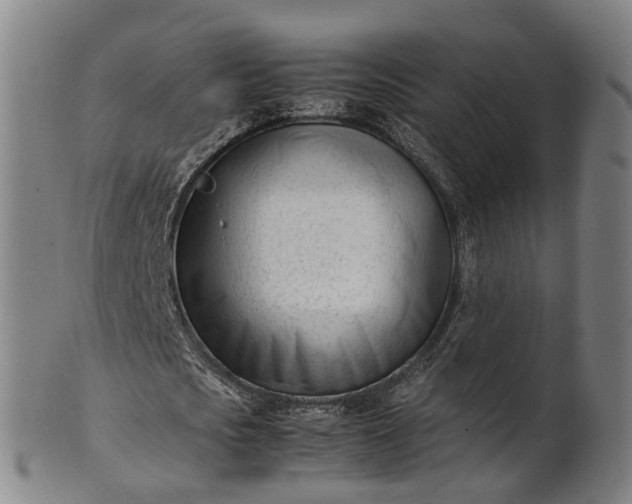 X0000101660721200807241417