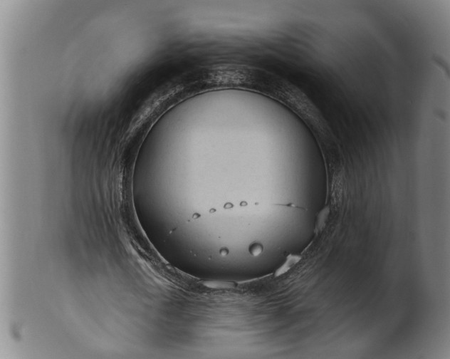 X0000101660722200807241417