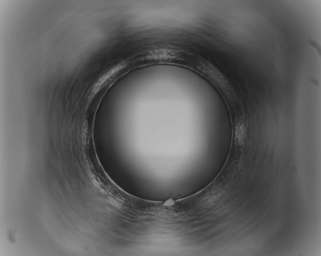 X0000101660724200807241417