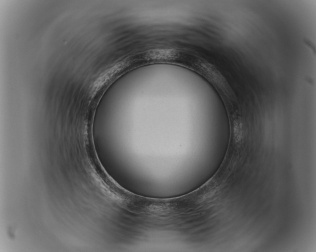 X0000101660725200807241417