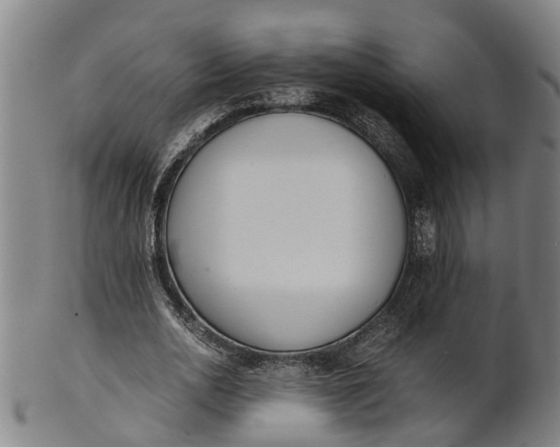 X0000101660726200807241417