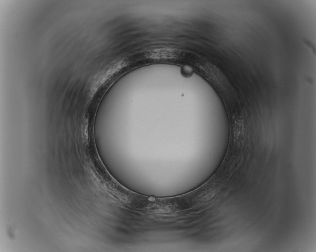 X0000101660727200807241417