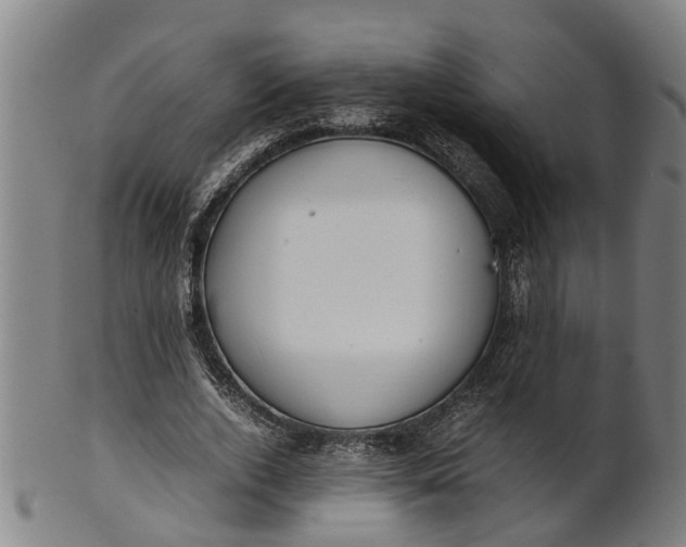 X0000101660728200807241417