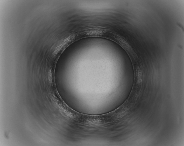 X0000101660729200807241417