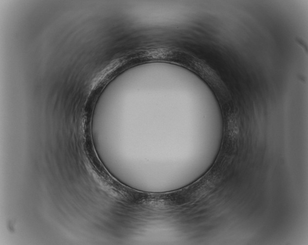 X0000101660730200807241417