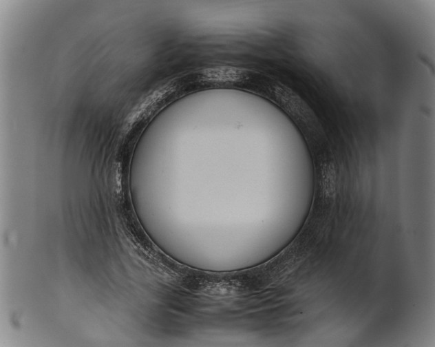 X0000101660731200807241417