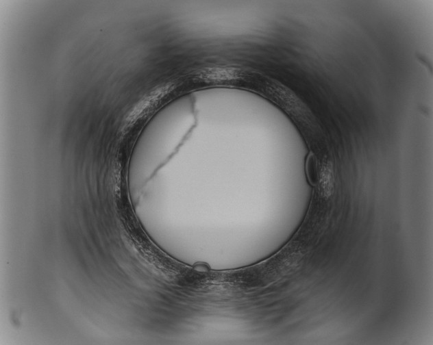 X0000101660732200807241417