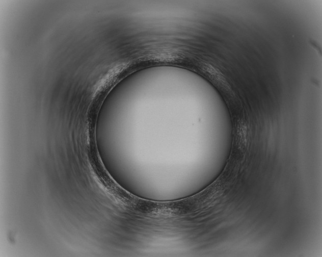 X0000101660734200807241417