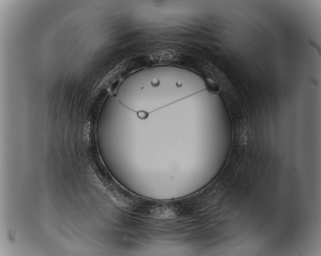 X0000101660735200807241417