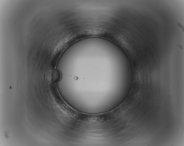 X0000101660736200807241417