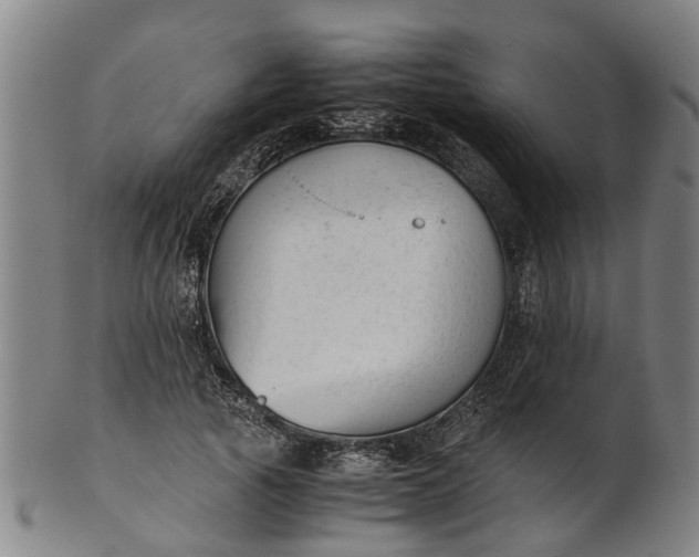 X0000101660737200807241417