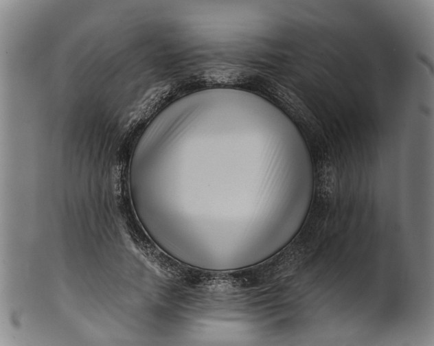 X0000101660738200807241417