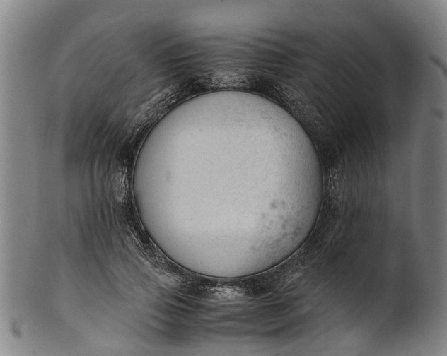 X0000101660741200807241417