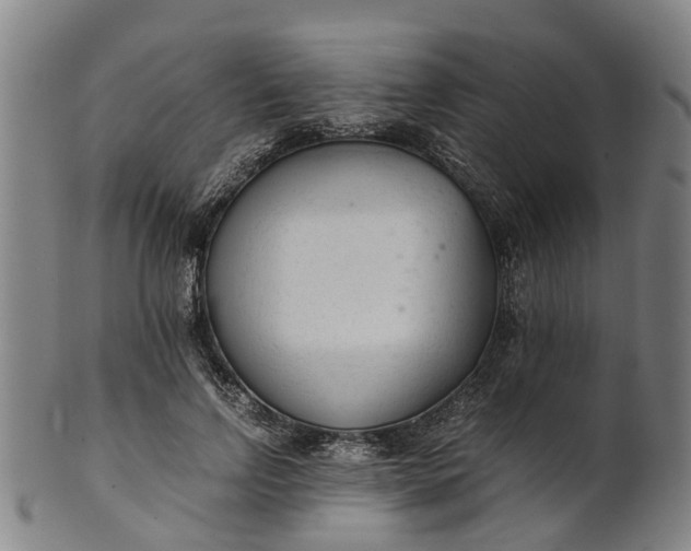 X0000101660742200807241417