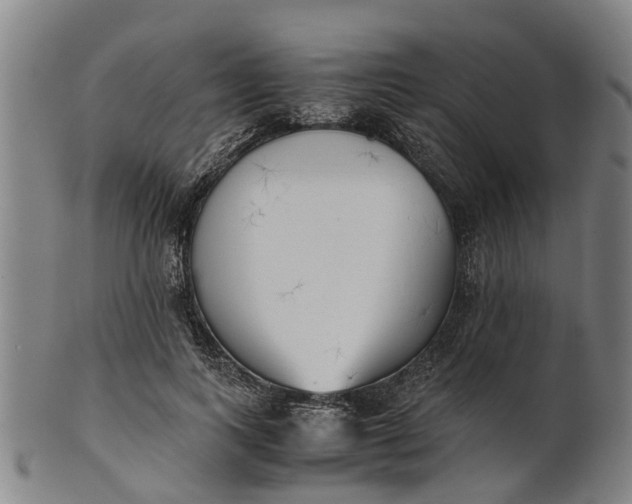 X0000101660743200807241417