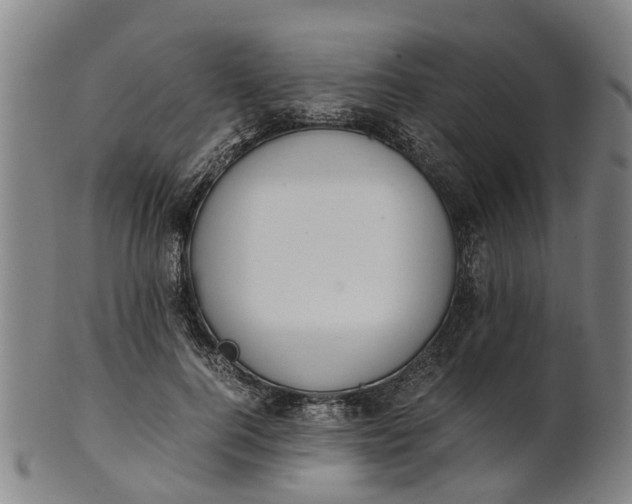 X0000101660744200807241417