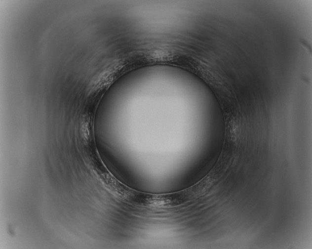 X0000101660746200807241417