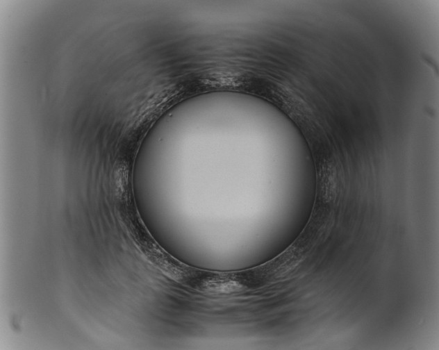 X0000101660747200807241417