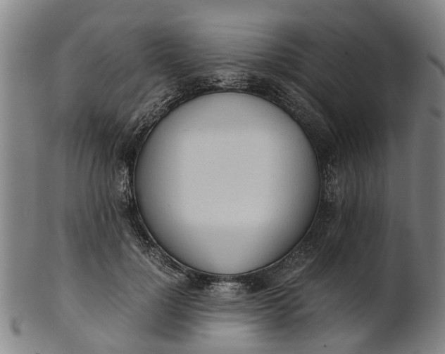 X0000101660748200807241417