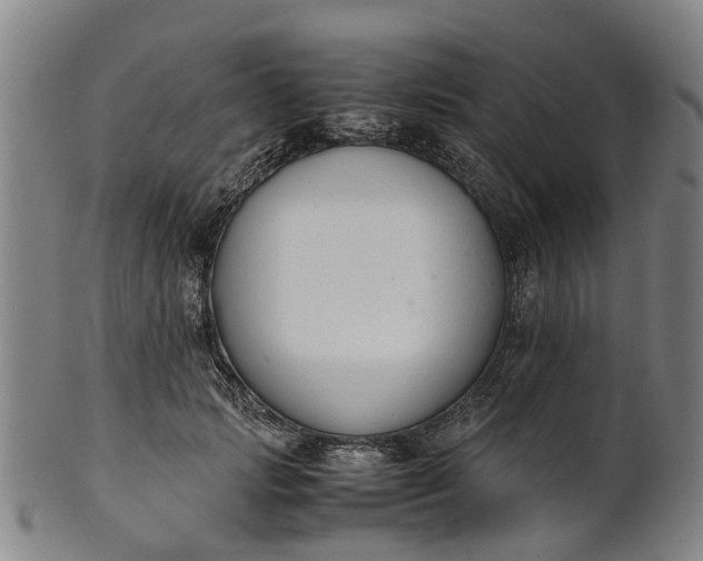 X0000101660749200807241417