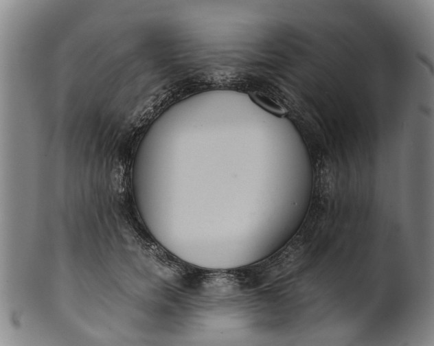 X0000101660750200807241417