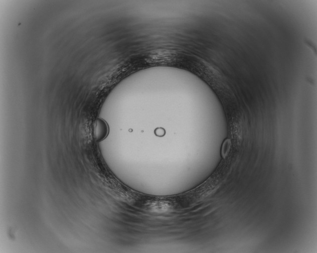 X0000101660751200807241417