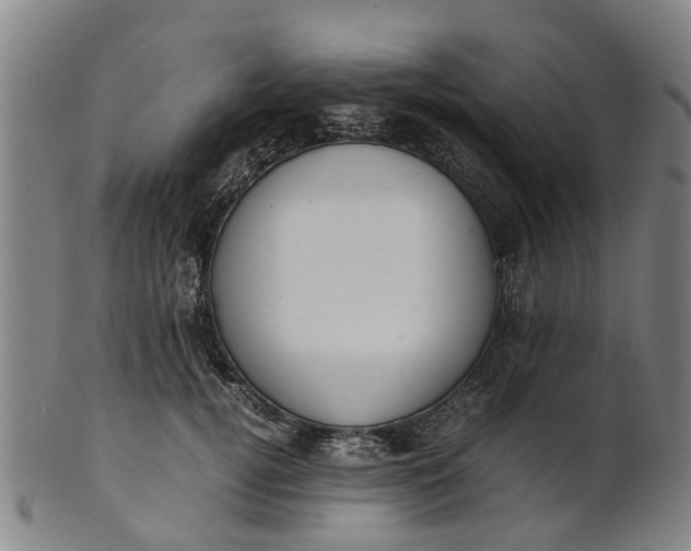 X0000101660752200807241417