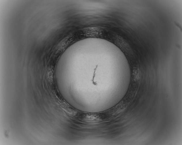 X0000101660753200807241417