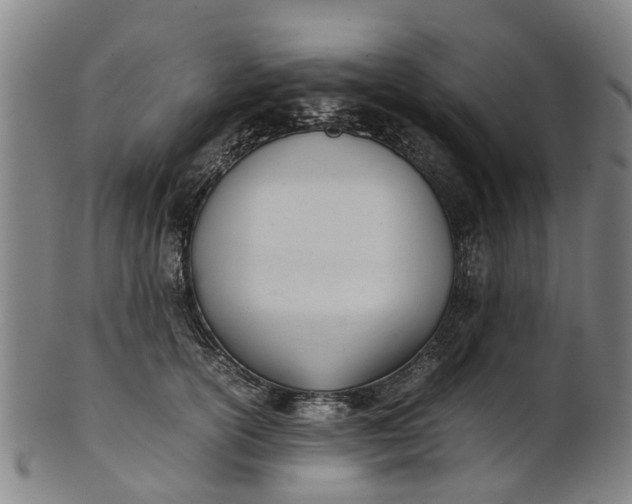 X0000101660754200807241417