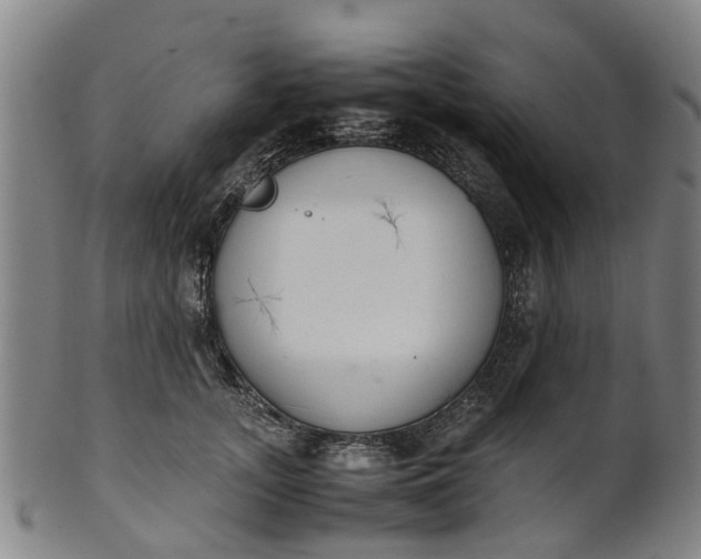 X0000101660755200807241417