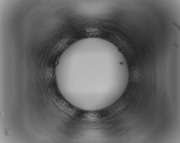 X0000101660756200807241417