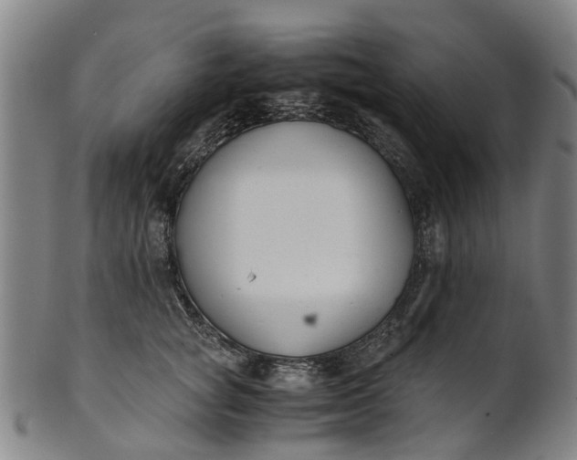 X0000101660757200807241417