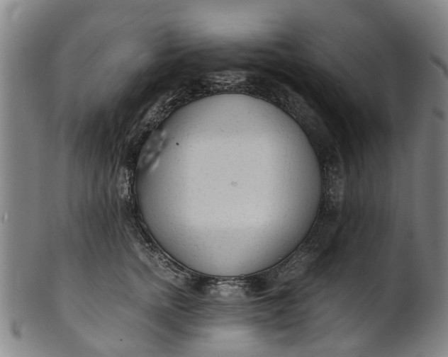 X0000101660758200807241417