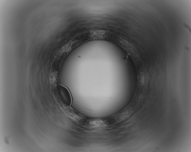 X0000101660759200807241417