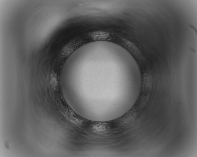 X0000101660761200807241417