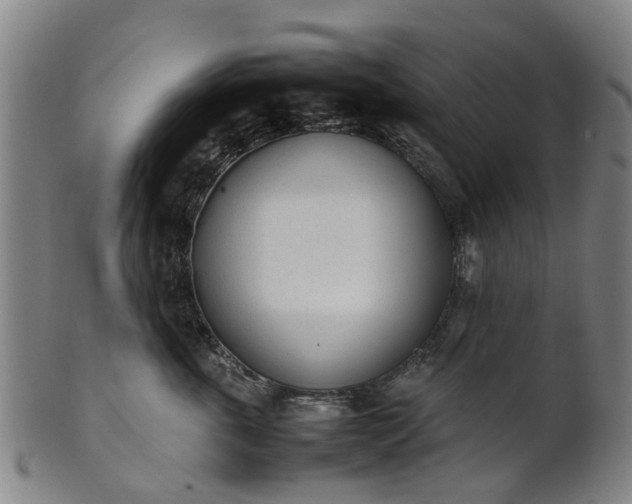 X0000101660763200807241417