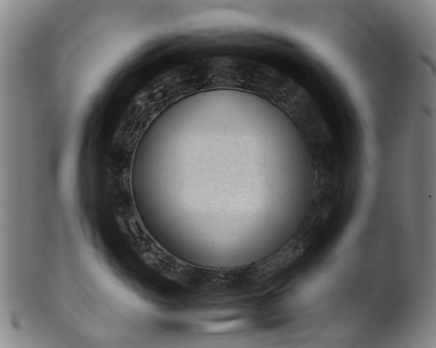 X0000101660765200807241417