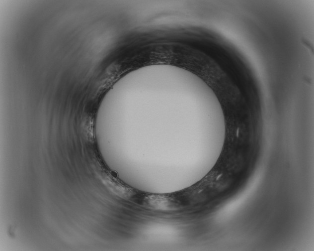 X0000101660766200807241417