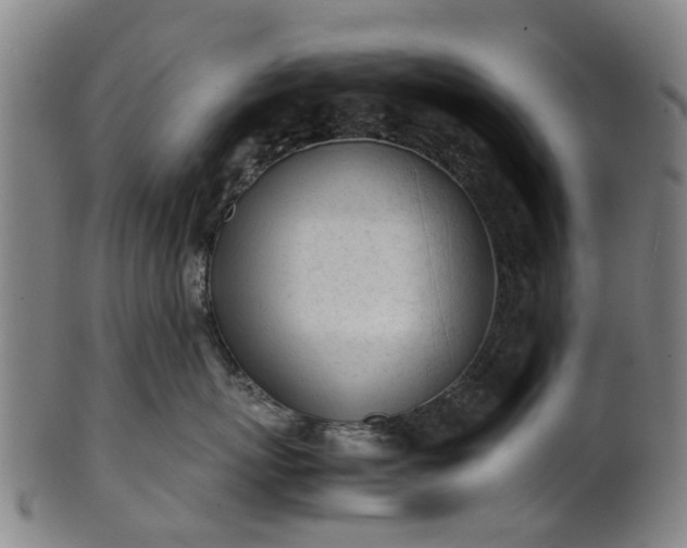 X0000101660767200807241417