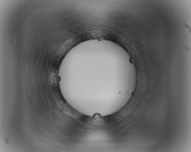 X0000101660768200807241417