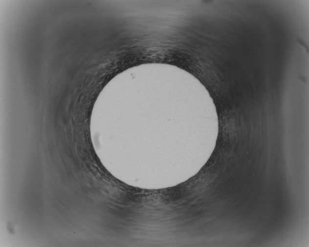 X0000101660769200807241417